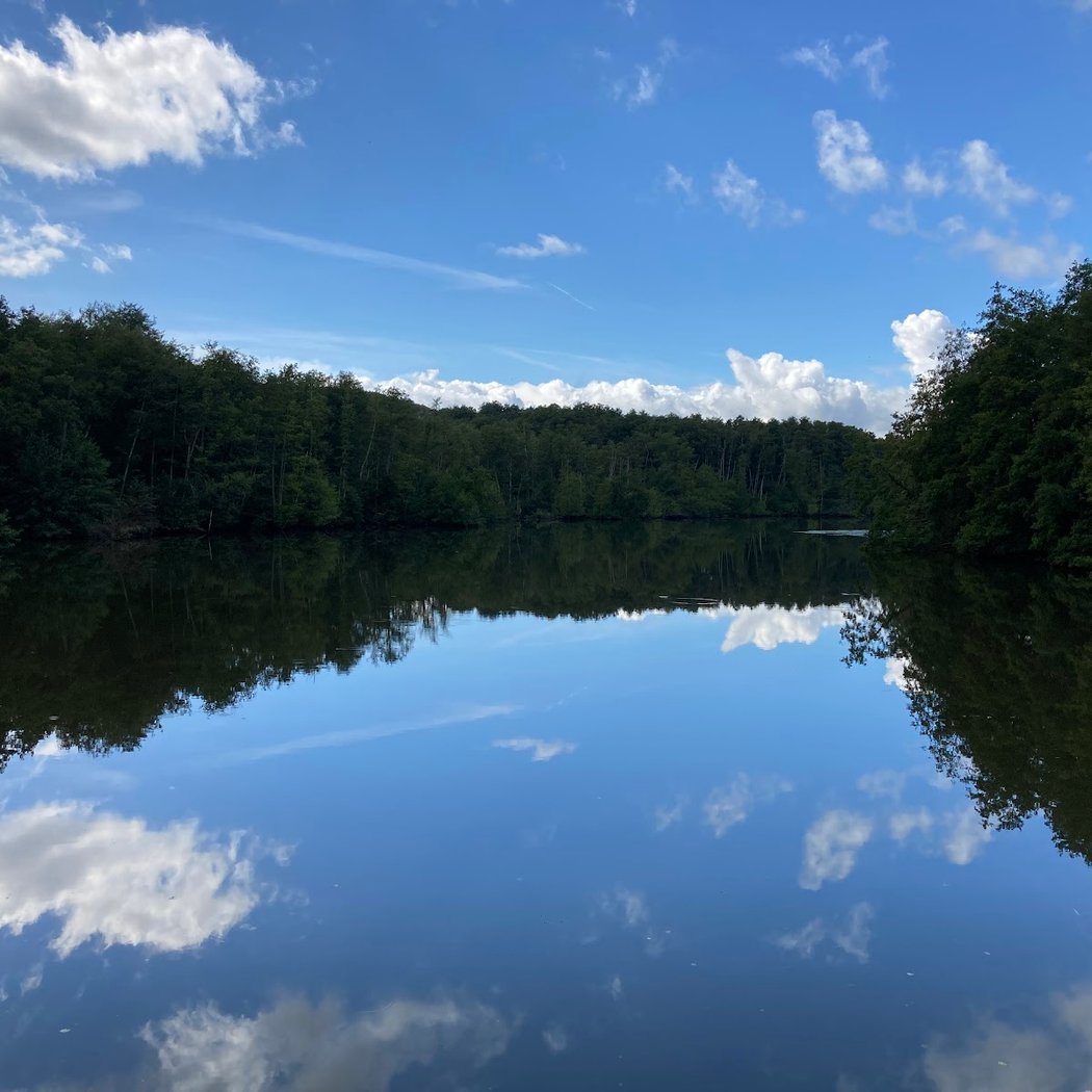 Randonnée Vaux de Cernay et ses cascades 1